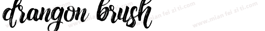 drangon brush字体转换